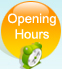 Opening Hours Usage